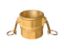 Picture of Midland - 44943 - 1 1/4 F-CPLGXFIP Type D-BRASS